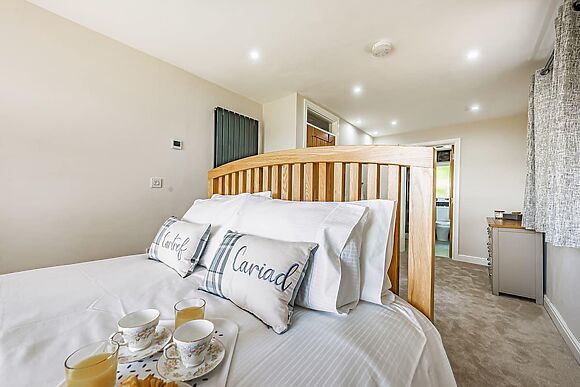 Llwynblyfyn in Llansawel