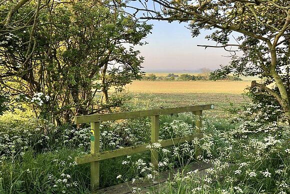 Seven Spires in Walcott
