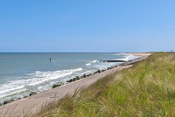 No. 4 Squirrels Nest