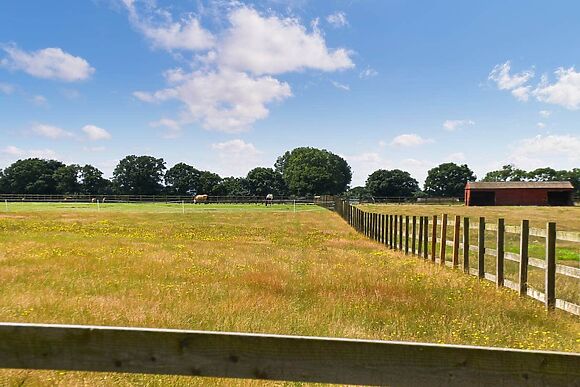 Wild Grape Lodge in Fritton