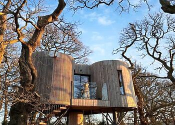 The Treehouse @ Caerlaverock