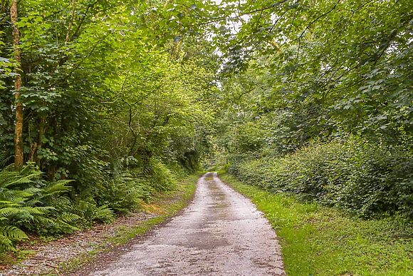 Carnau Mawr at Brynawelon Farm