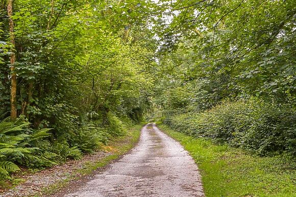 Carnau Mawr at Brynawelon Farm