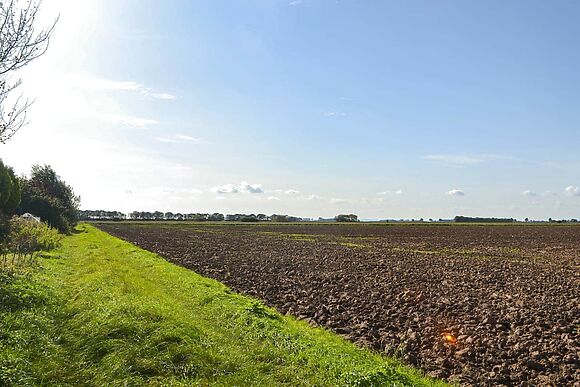 Atmospheric in Patrington