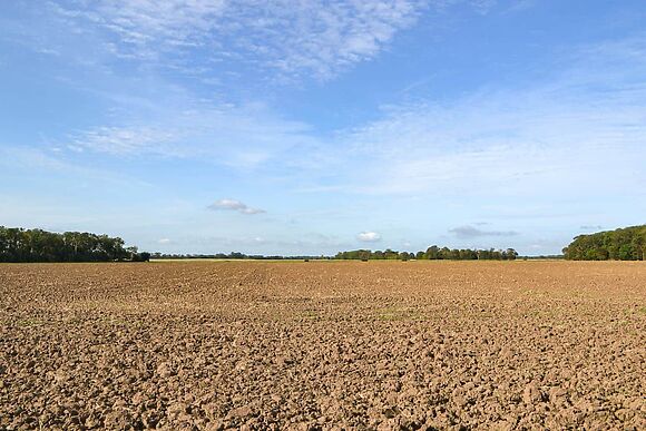 Atmospheric in Patrington