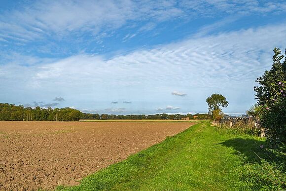 Atmospheric in Patrington