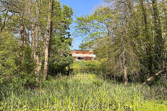 Dunburgh Wood in Geldeston