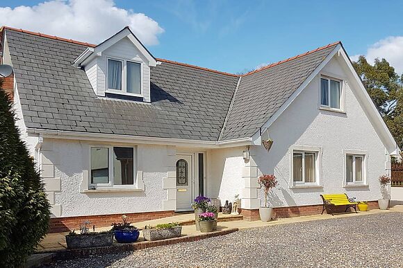 Rhosyn Gwyn in Llechryd