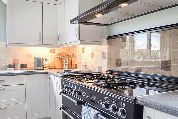 Rhosyn Gwyn in Llechryd