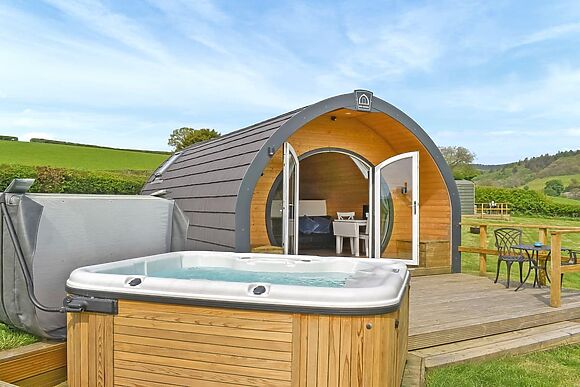 Seren in Abbeycwmhir