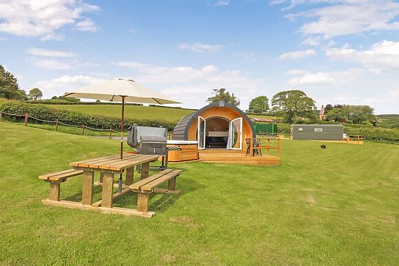 Seren in Abbeycwmhir