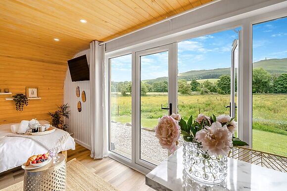 Bluebell in Straiton