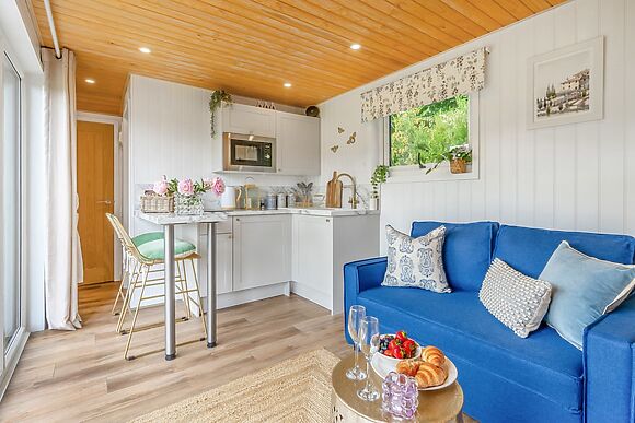 Bluebell in Straiton