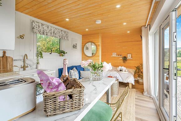 Bluebell in Straiton