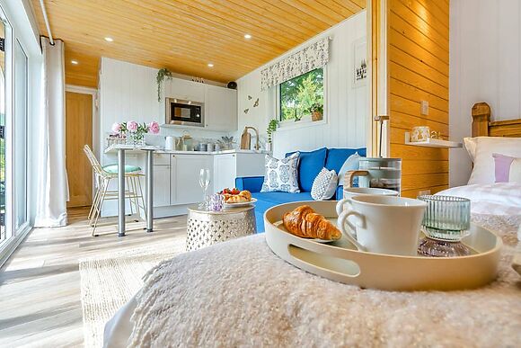 Bluebell in Straiton