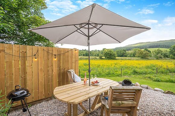 Bluebell in Straiton