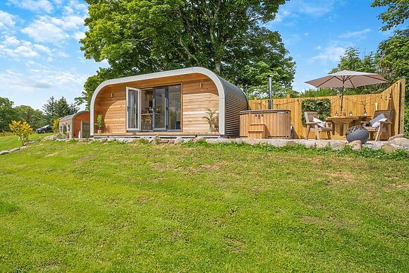 Bluebell in Straiton