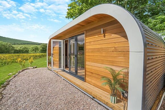 Bluebell in Straiton