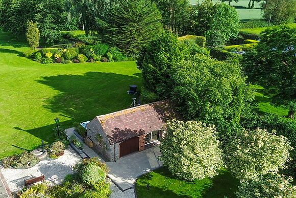 The Hornbill at Home Farm