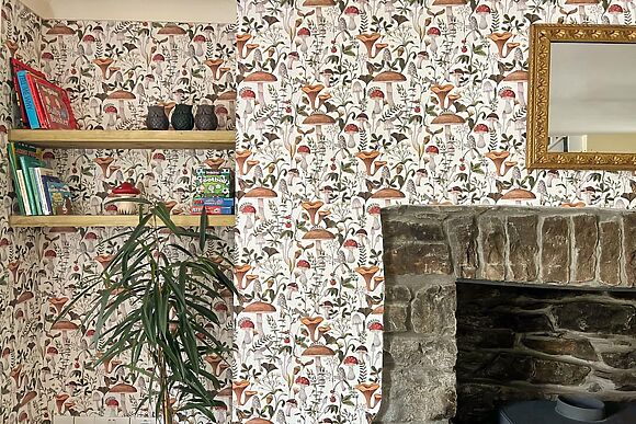 Mushroom Cottage in Tylorstown