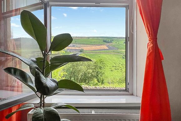 Mushroom Cottage in Tylorstown