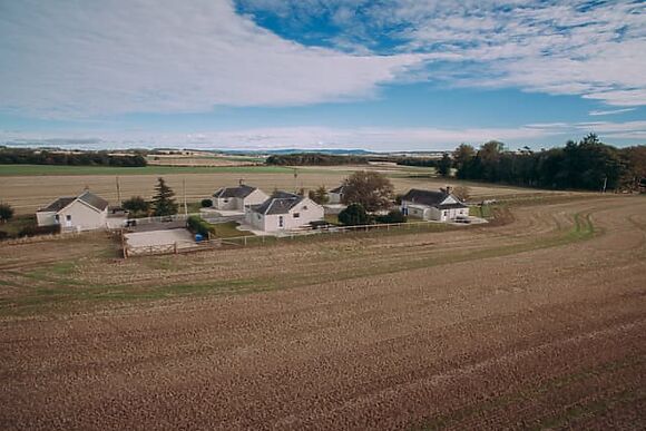 Cairnies At Bachilton Farm