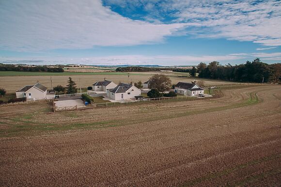 Cairnies At Bachilton Farm