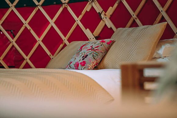 Moss Yurt At Bachilton Farm