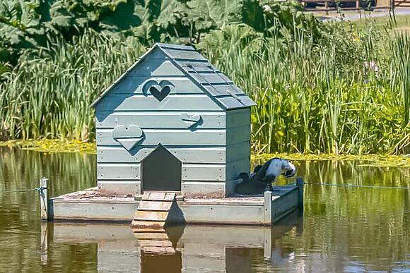 The I-hut