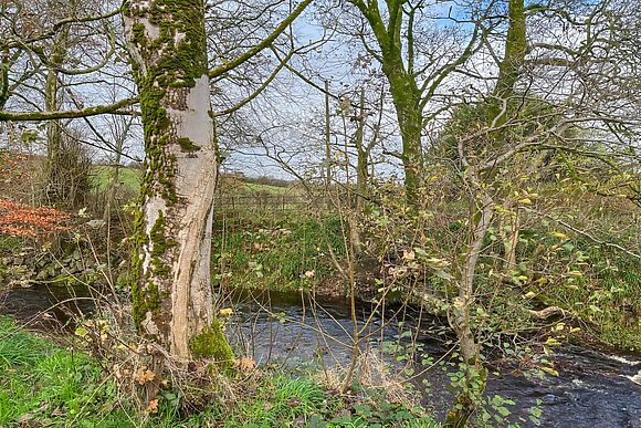 Holmbyre Glamping Pod 1