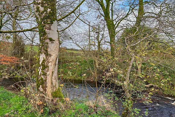 Holmbyre Glamping Pod 2