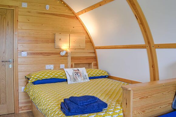 Mischief at Kelk Beck Glamping