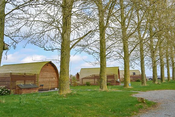 Mischief at Kelk Beck Glamping