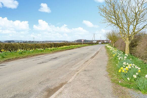 Mischief at Kelk Beck Glamping