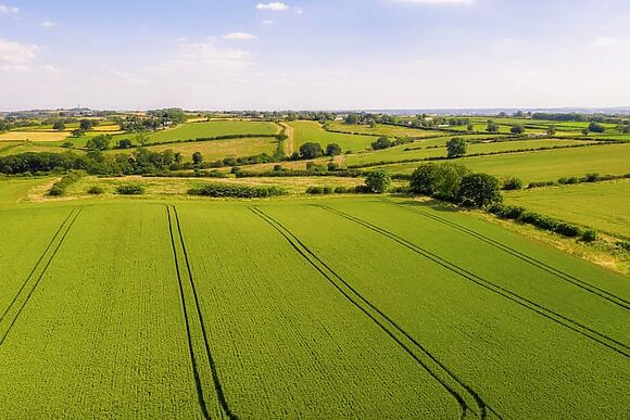 The Woodshed in Congerstone