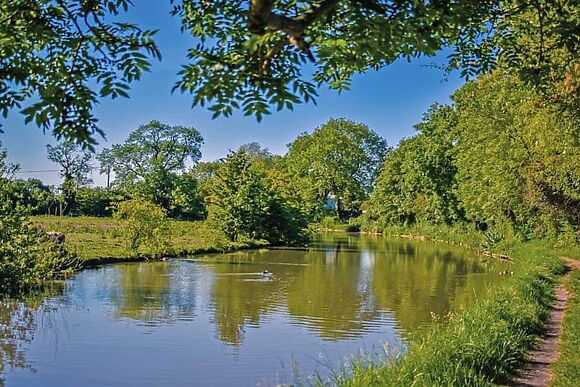 The Woodshed in Congerstone