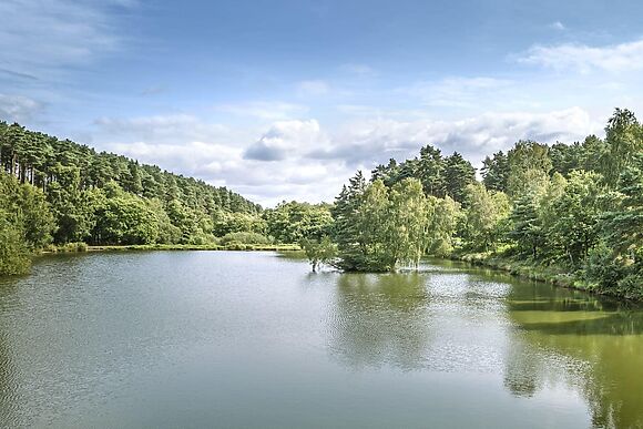 Seven Springs in Brereton