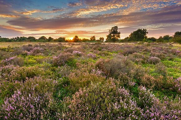 Seven Springs in Brereton