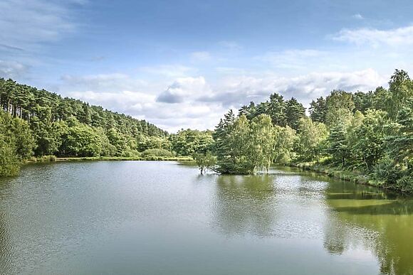 Seven Springs in Brereton