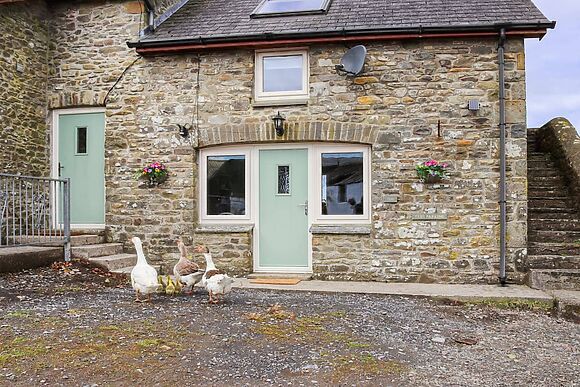 Towy Cottage in Talley