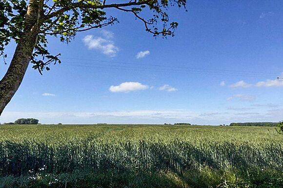 Shepherds Hut at Lilac Retreats