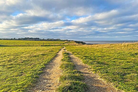 Shepherds Hut at Lilac Retreats