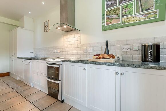 Leopold at The Victorian Barn