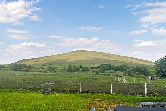 Shepherds Hut at Hillcrest
