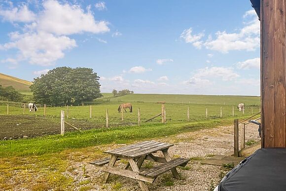 Shepherds Hut at Hillcrest