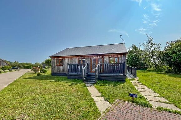 Lavender at James Ville Marina