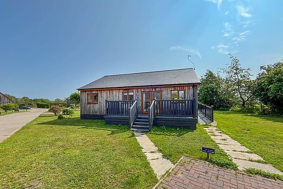 Lavender at James Ville Marina