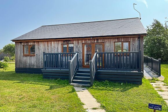 Lavender at James Ville Marina