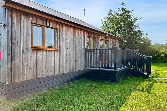 Lavender at James Ville Marina