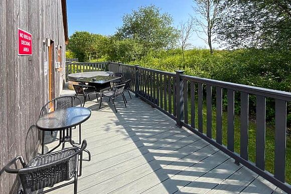 Lavender at James Ville Marina